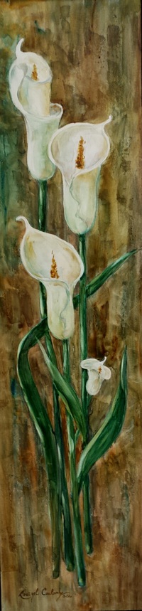 Lys blancs 12 x 48