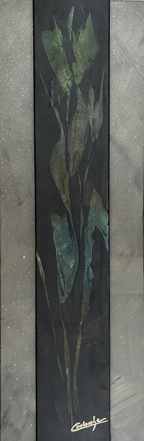 Délicates.    12 x36