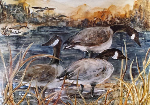 L'abreuvoir 25 x 35